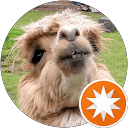 Shopping Metro Santa Cruz