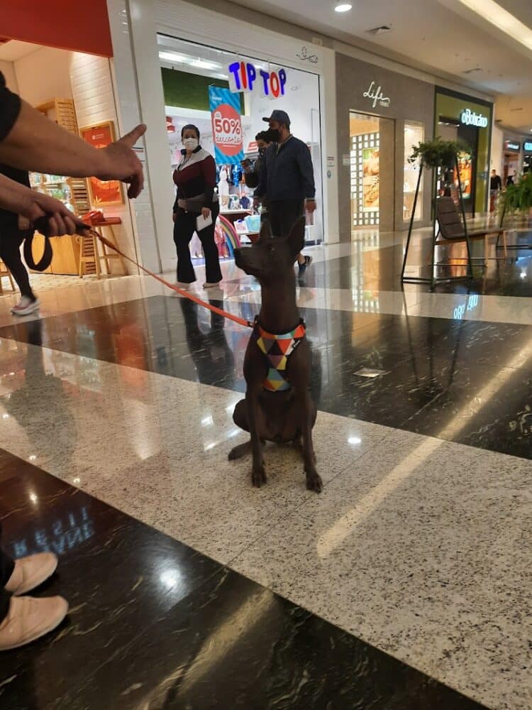 Mooca Plaza Shopping