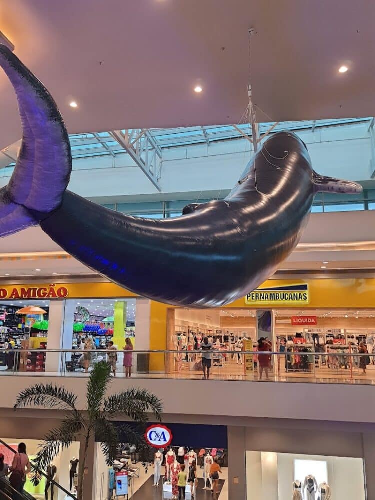 Park Shopping Campo Grande