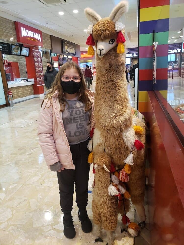 Shopping Center Norte